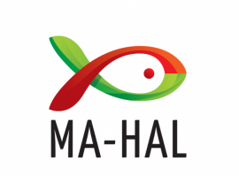 Elmarad a 2021. évi MA-HAL Országos Halfőző Verseny