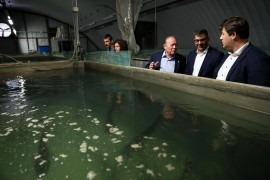 Agrárminisztérium: Beruházások kora jön az akvakultúrában