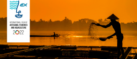 A kézműves halászat és akvakultúra éve (IYAFA 2022) fotóverseny